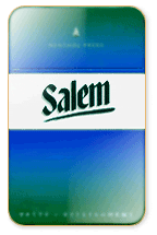 Salem Original Menthol Cigarette Pack