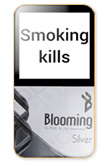 Blooming Silver Cigarettes pack